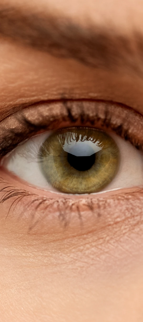 hazel green eye close up