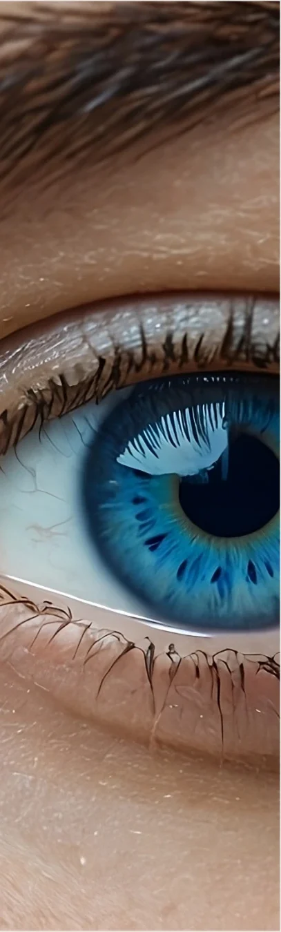 macro blue eye