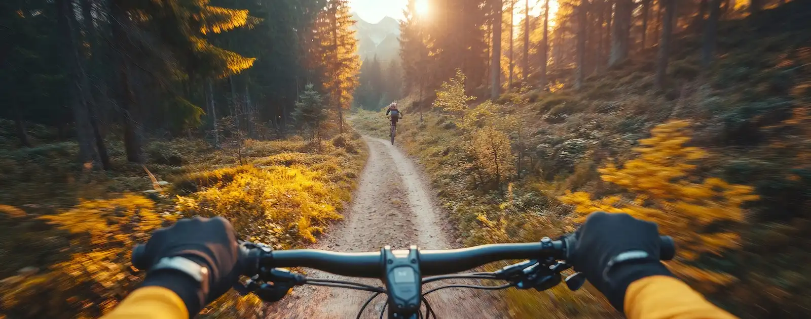 pov of mountain biker on trail